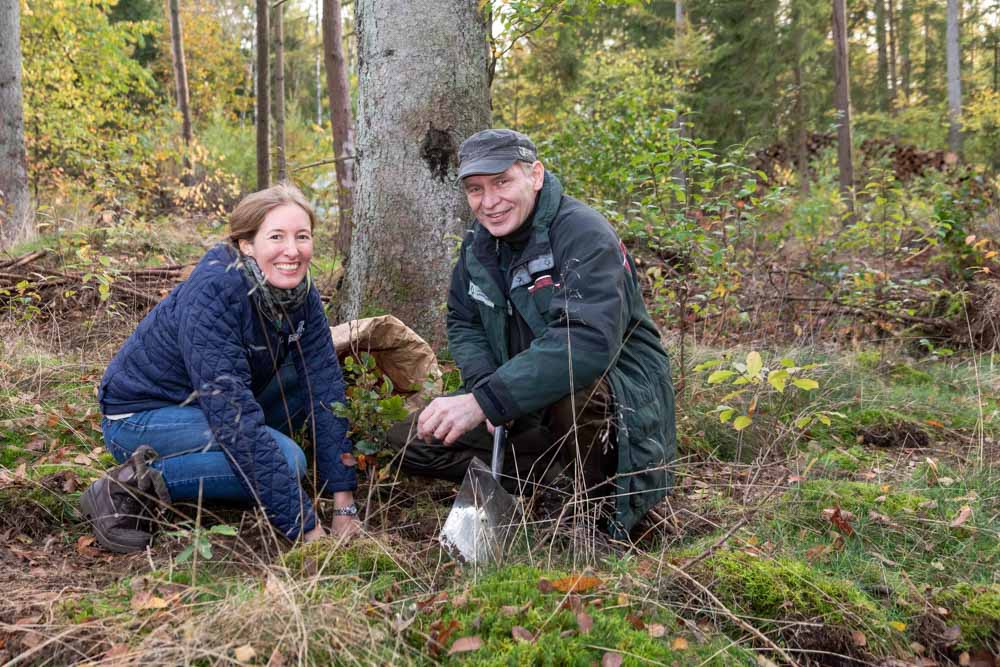 Blickpunkt SH Ralf Seiler Klimastabile Bäume für mehr Zukunftswald